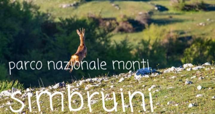 Casetta Nel Borgo Olevano Romano Exterior foto